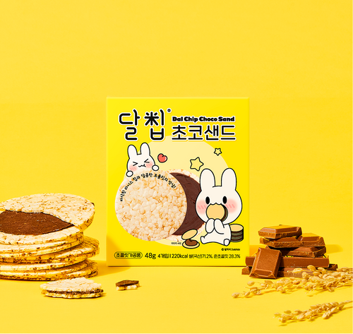 [네이쳐오다] 달칩 초코샌드 (4개입)